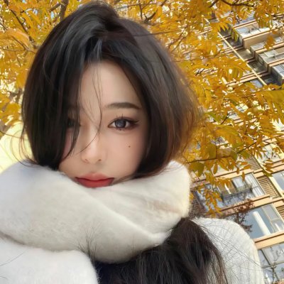 哈林四女子第二季